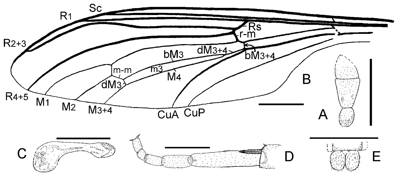 m4 line drawing