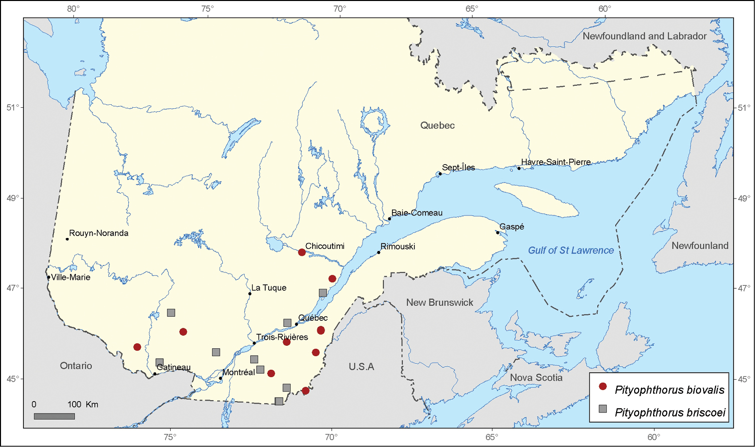 Occurrence of species of the genus Pityophthorus Eichhoff (Coleoptera ...