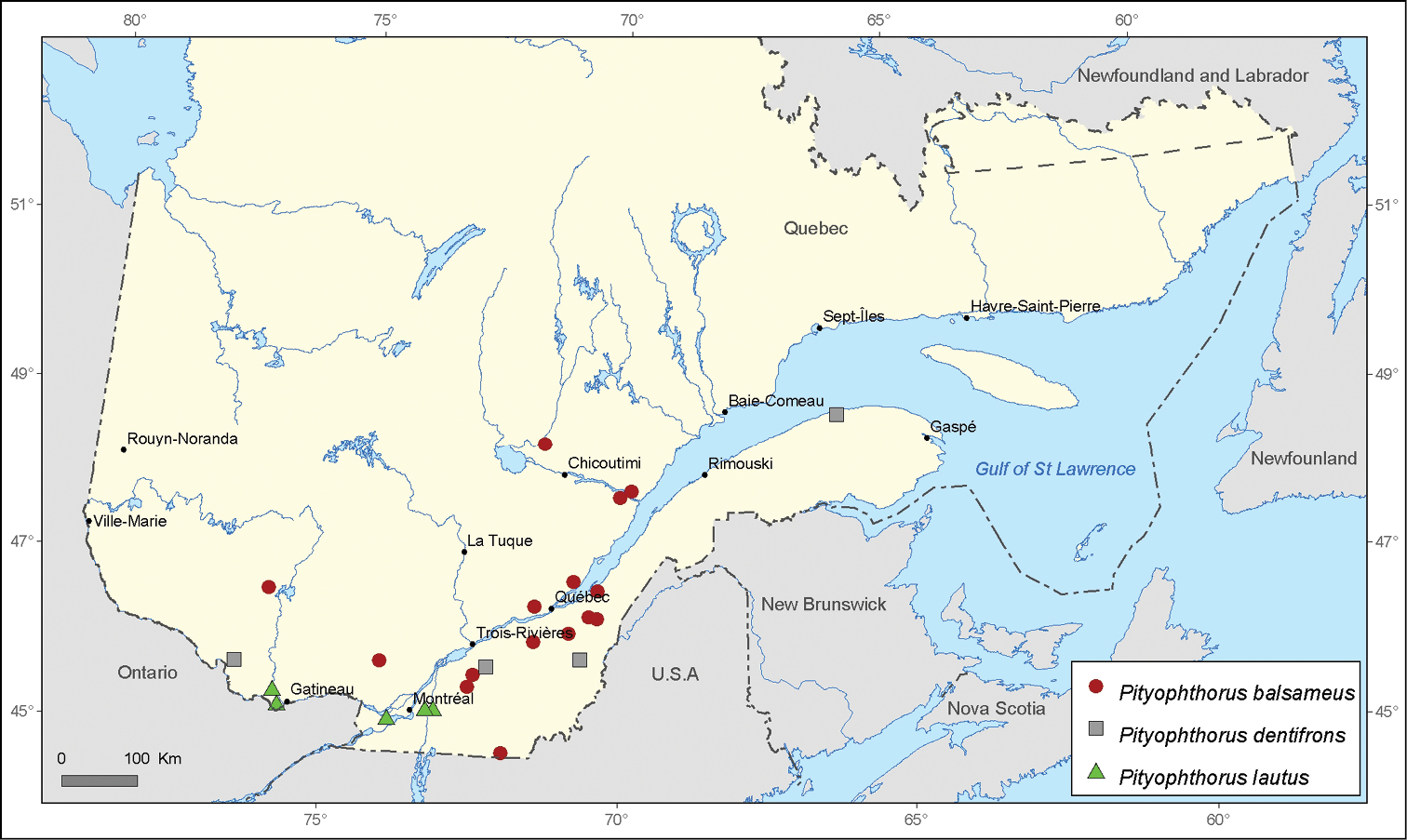 Occurrence of species of the genus Pityophthorus Eichhoff (Coleoptera ...