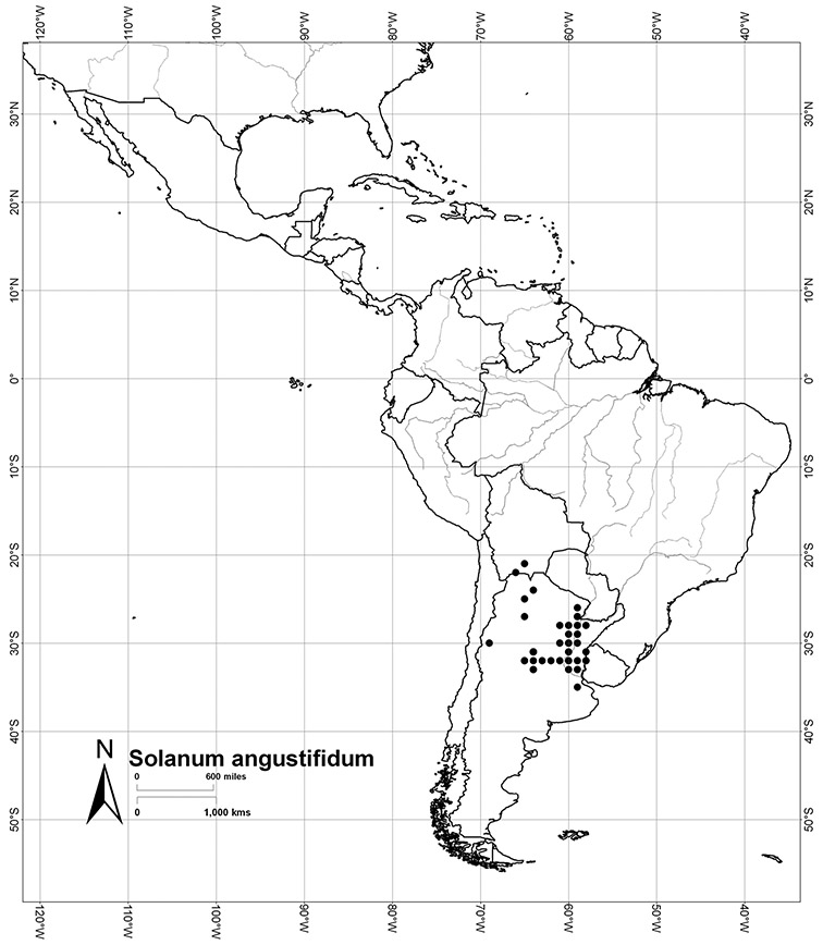 A revision of the Dulcamaroid Clade of Solanum L. (Solanaceae)